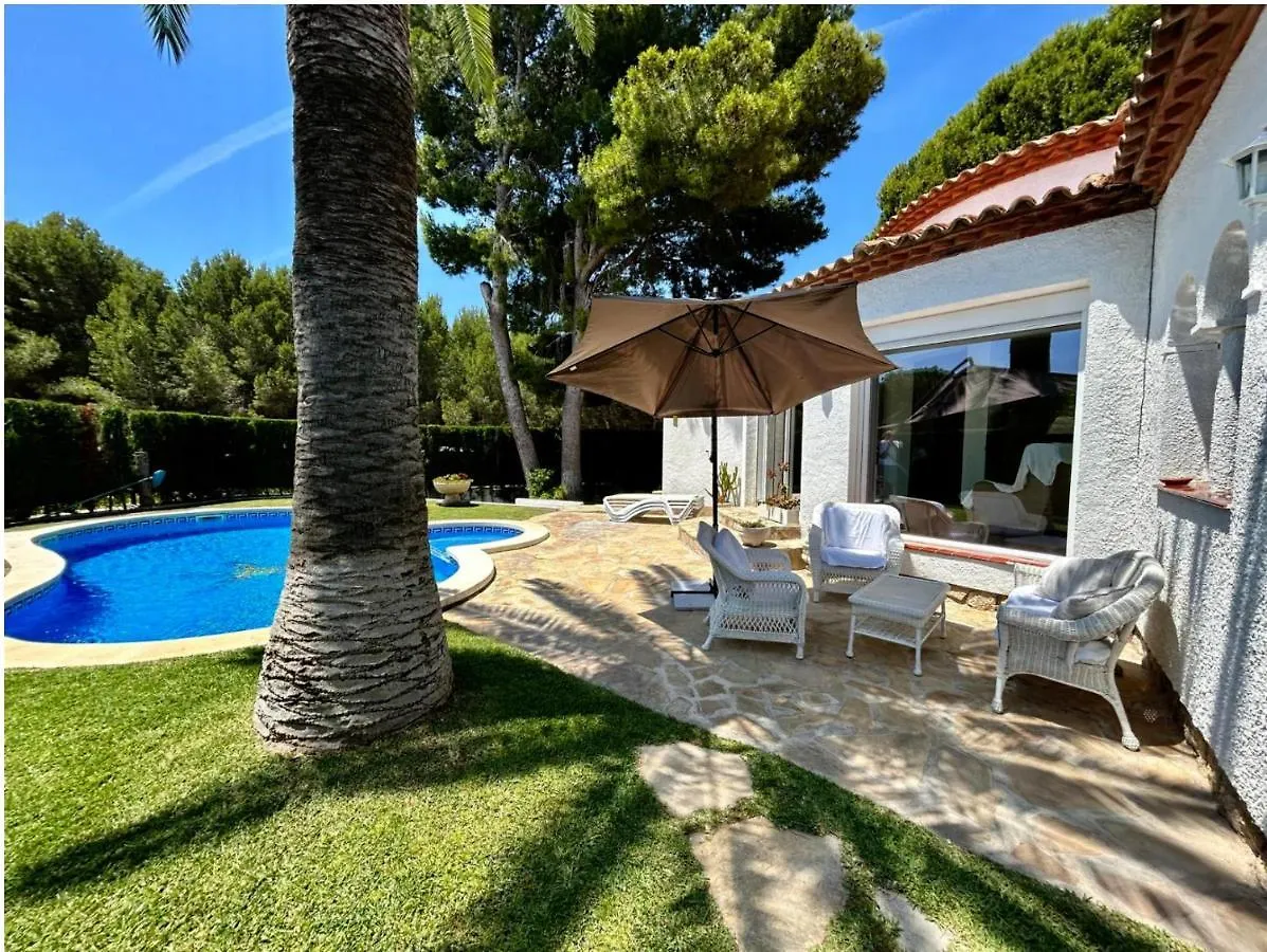 Arenda Villa Camila Pino Alto Miami Playa Spain